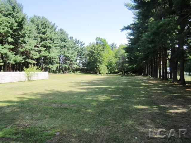571 South Meridian Road Hudson, MI 49247 - Photo 3 of 18
