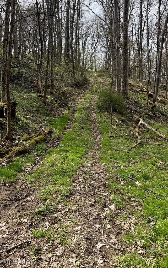 9100 Post Road Jewett, OH 43986 - Photo 41 of 46