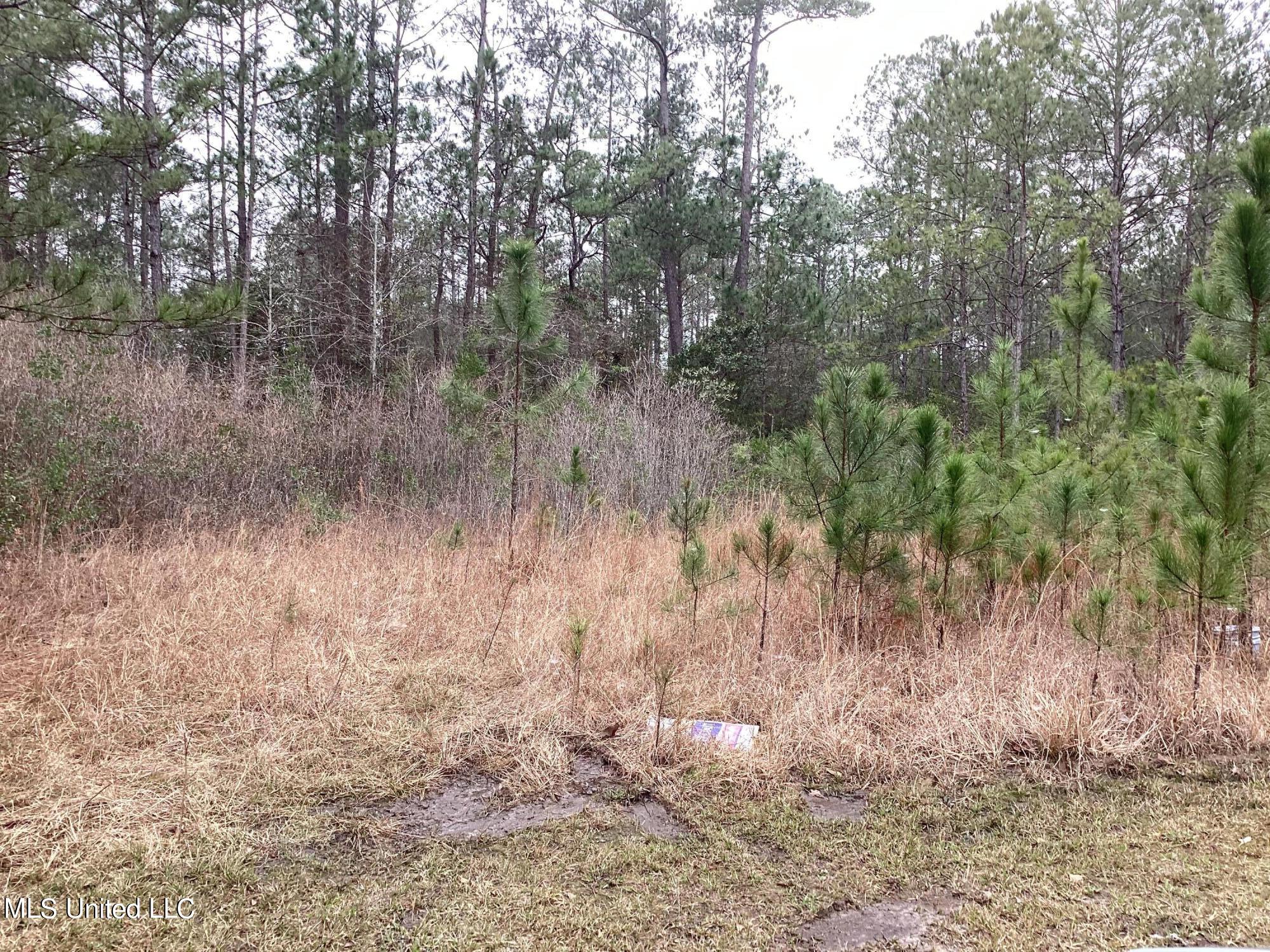 Martin Bluff Rd Road Gautier, MS 39553 - Photo 1 of 7 34D57C3F-B3A7-4160-86A8-C221633767D9