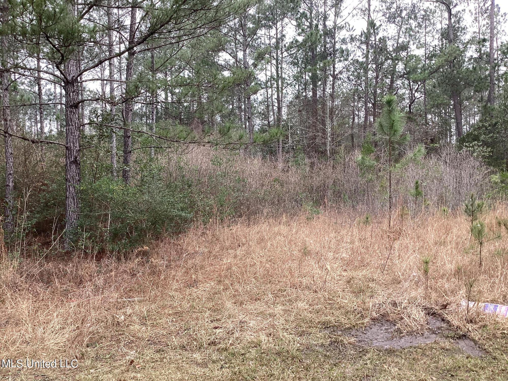 Martin Bluff Rd Road Gautier, MS 39553 - Photo 2 of 7 23D14B6B-1DA1-4A97-BC99-3E60D7C2FBB9