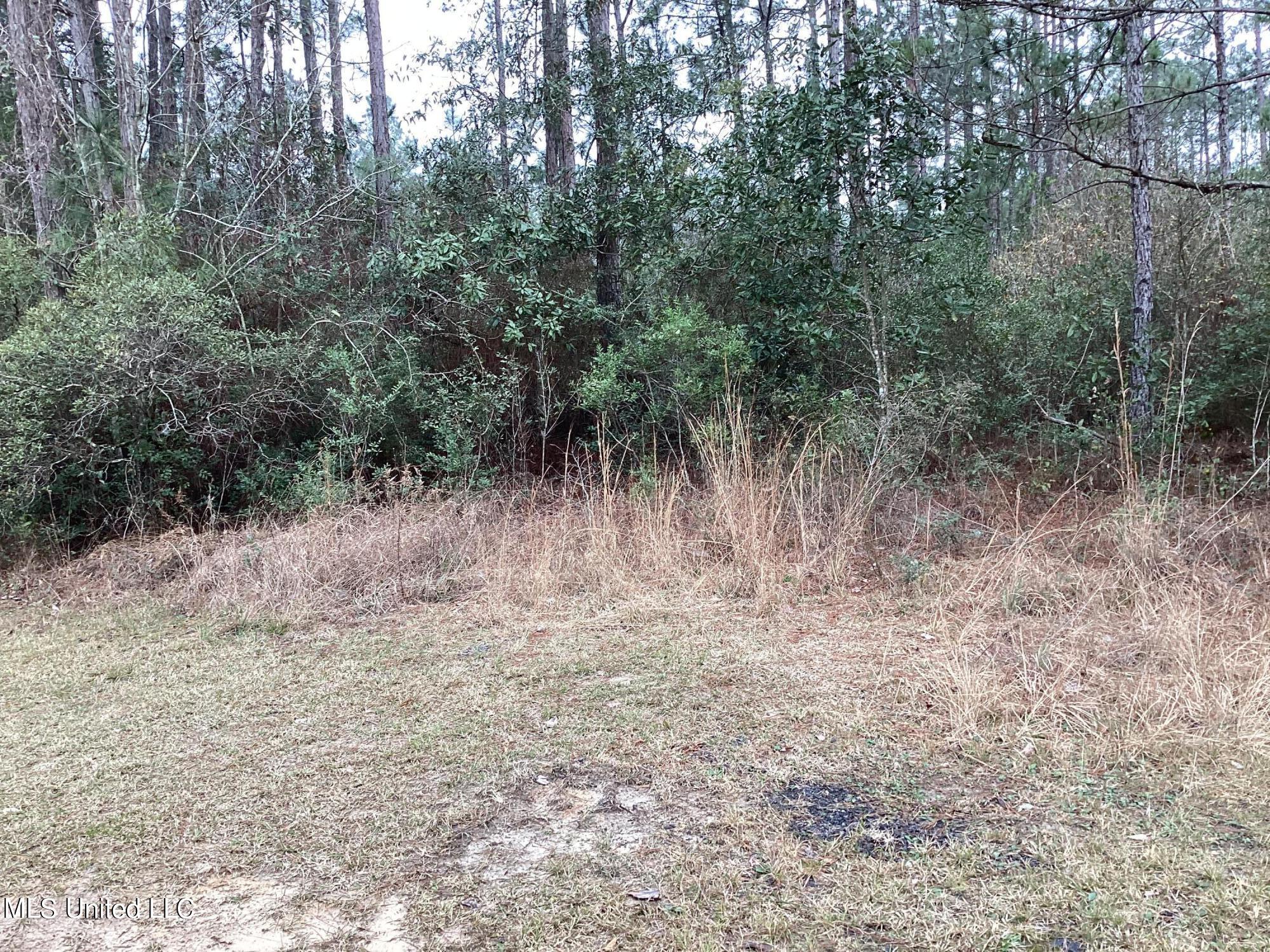 Martin Bluff Rd Road Gautier, MS 39553 - Photo 3 of 7 10E12D1B-B5F8-450A-937D-0A23CF25AABF