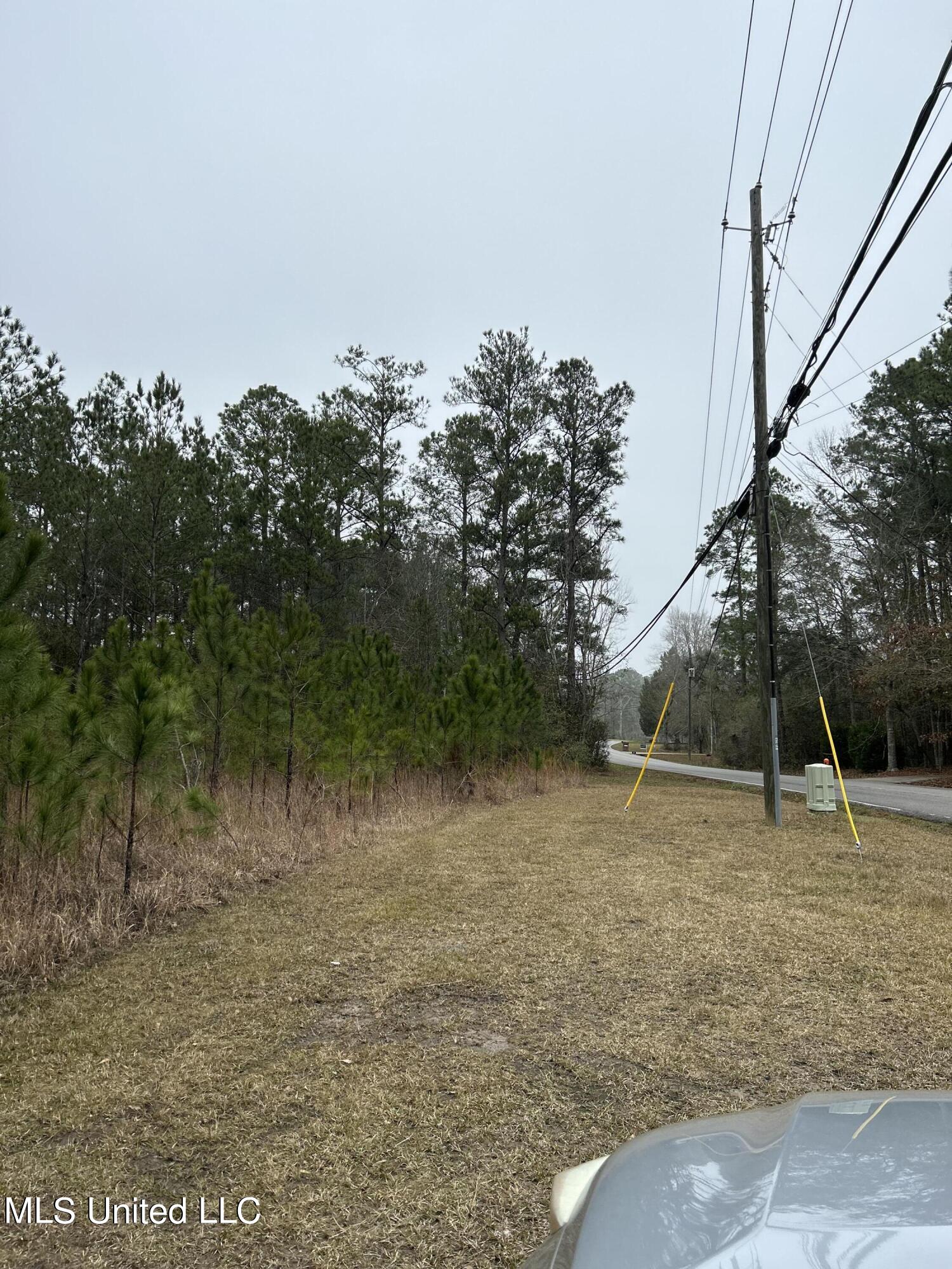 Martin Bluff Rd Road Gautier, MS 39553 - Photo 6 of 7 3EEDB581-E9CE-48CA-81C8-A0A567361FAD