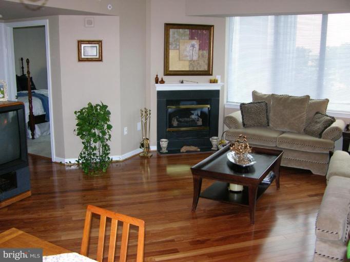 11710 Old Georgetown Road, Unit 414 North Bethesda, MD 20852 - Photo 10 of 15 Fireplace