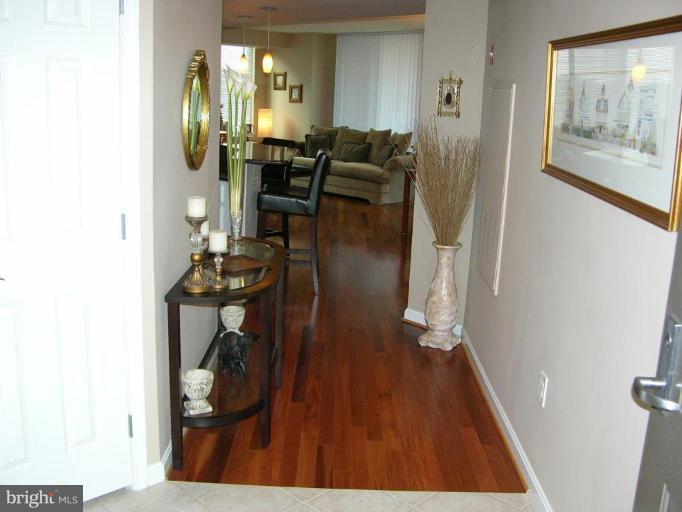 11710 Old Georgetown Road, Unit 414 North Bethesda, MD 20852 - Photo 11 of 15 Hallway