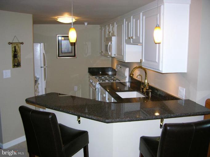 11710 Old Georgetown Road, Unit 414 North Bethesda, MD 20852 - Photo 12 of 15 Kitchen