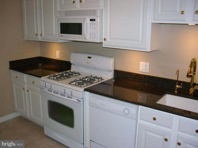 11710 Old Georgetown Road, Unit 414 North Bethesda, MD 20852 - Photo 14 of 15 Kitchen #3