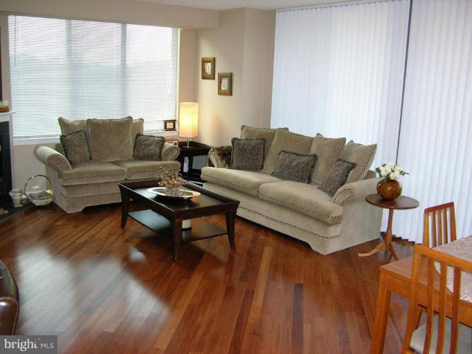 11710 Old Georgetown Road, Unit 414 North Bethesda, MD 20852 - Photo 9 of 15 Living Room