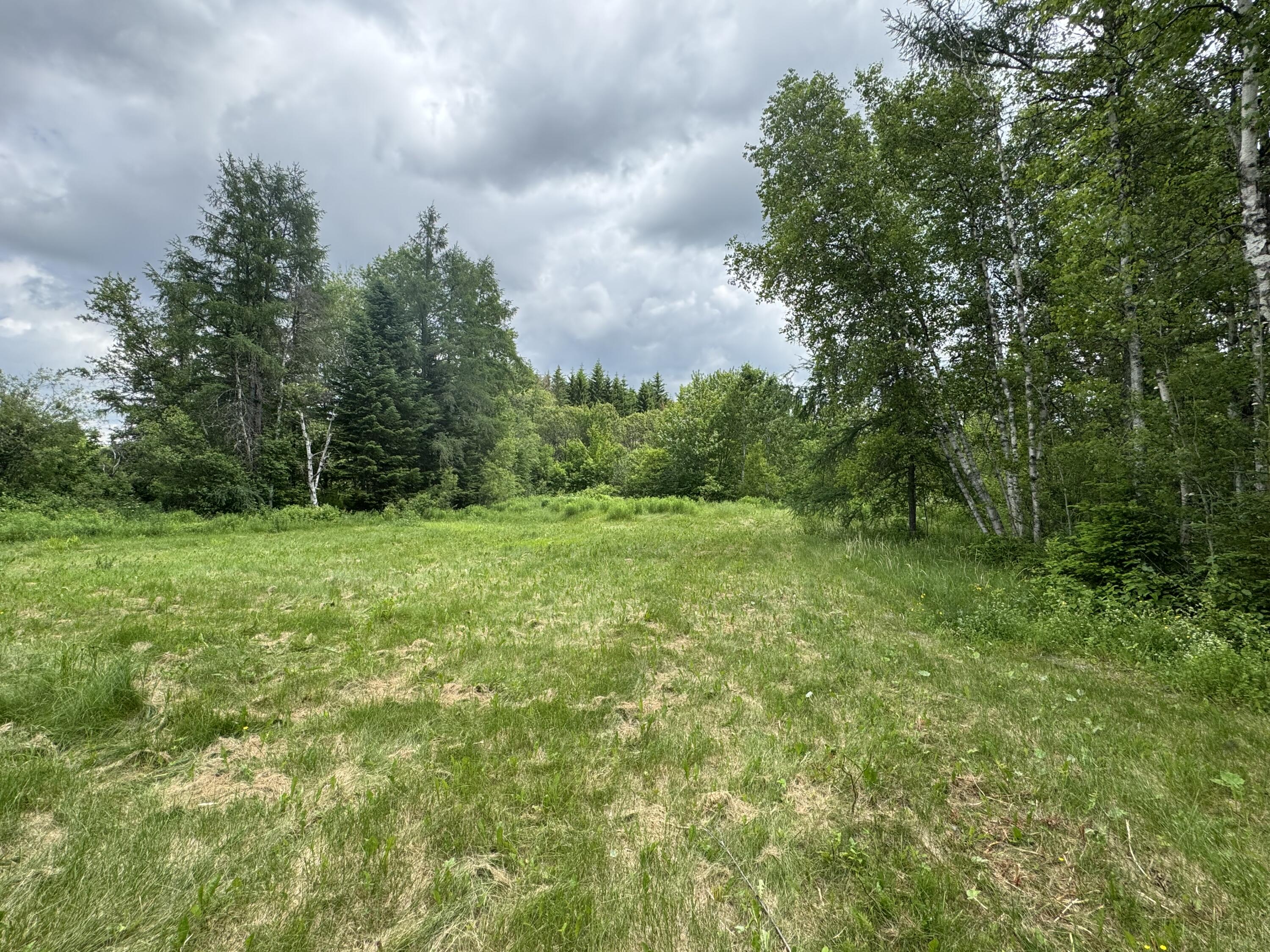 1529 Van Buren Road Caswell, ME 04750 - Photo 11 of 11 IMG_4175