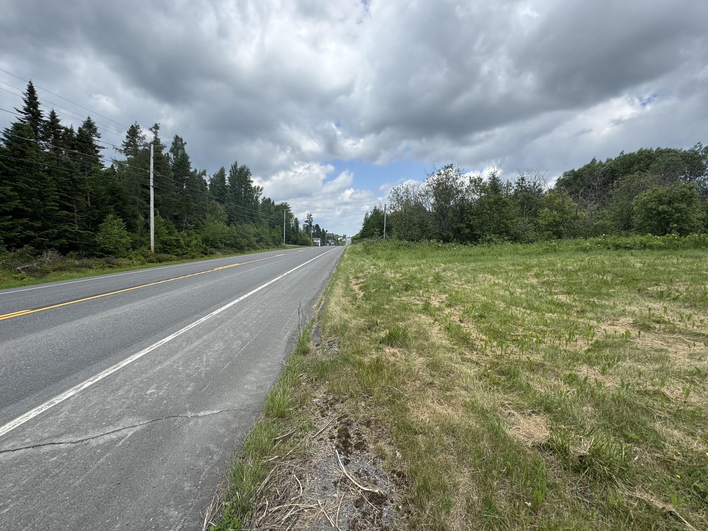 1529 Van Buren Road Caswell, ME 04750 - Photo 8 of 11 IMG_4166