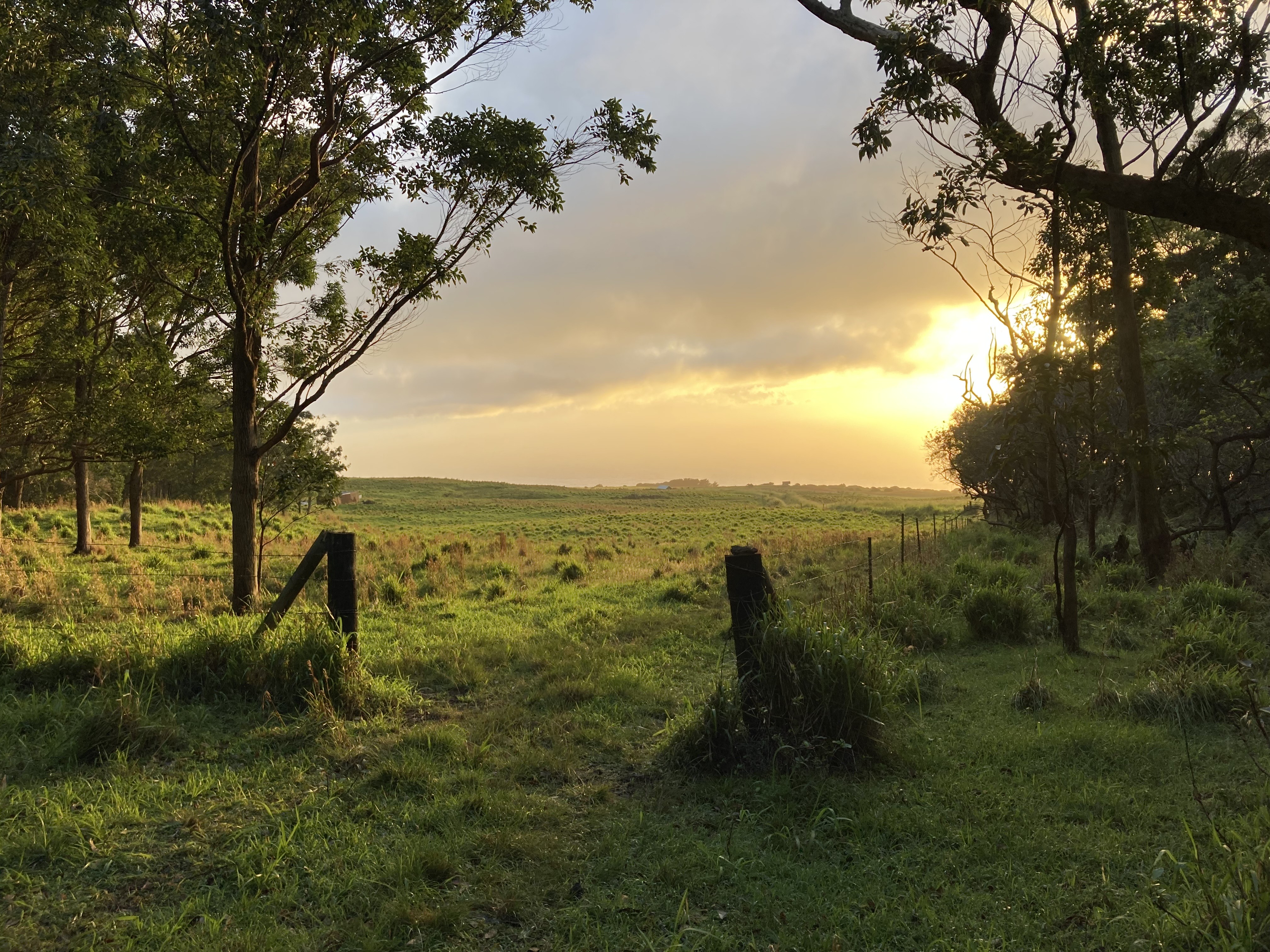 a view of a lake with a yard