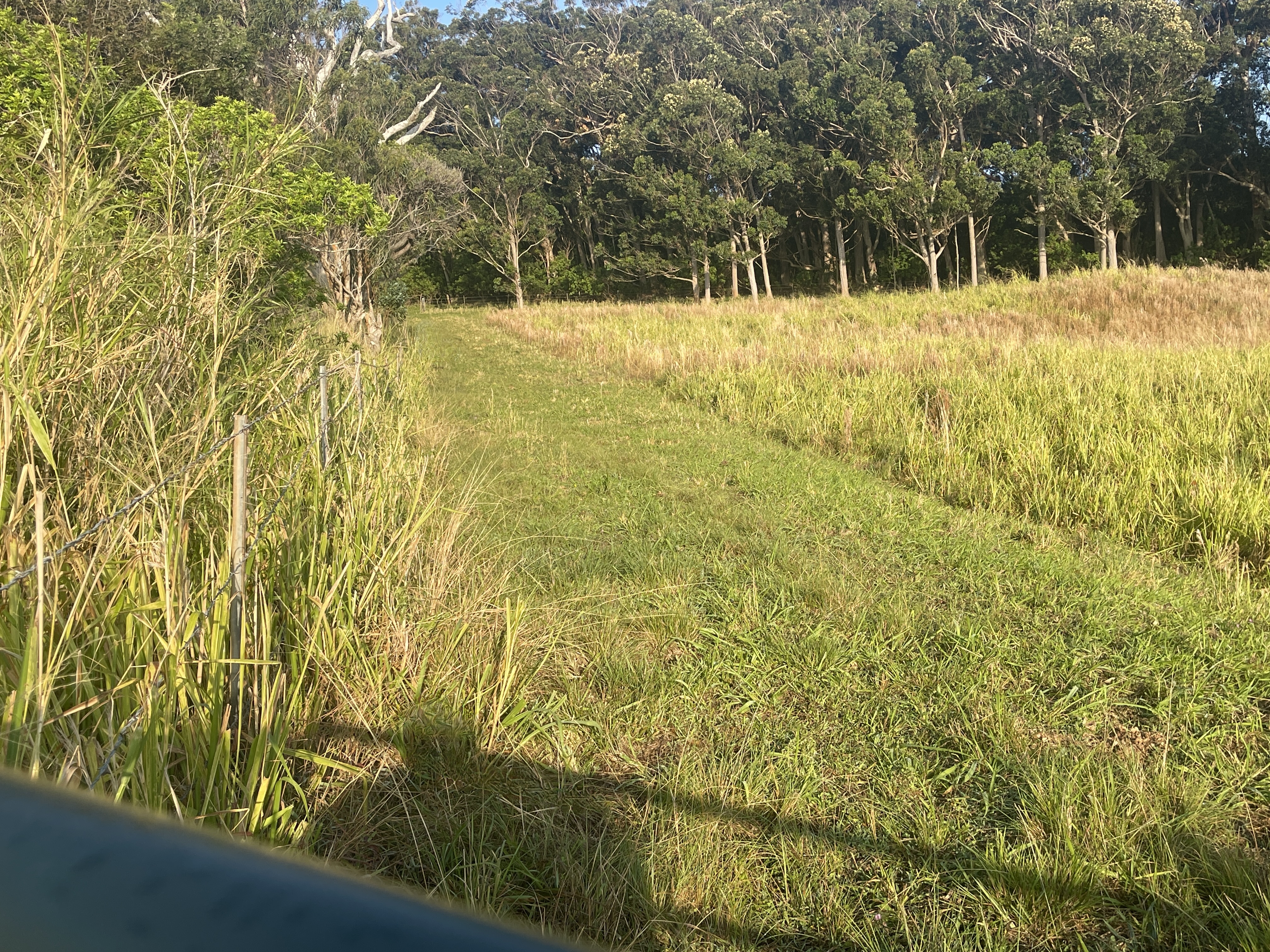 95-3970 Halemauna Road Naalehu, HI 96772 - Photo 20 of 20 a swimming pool with trees in front of it