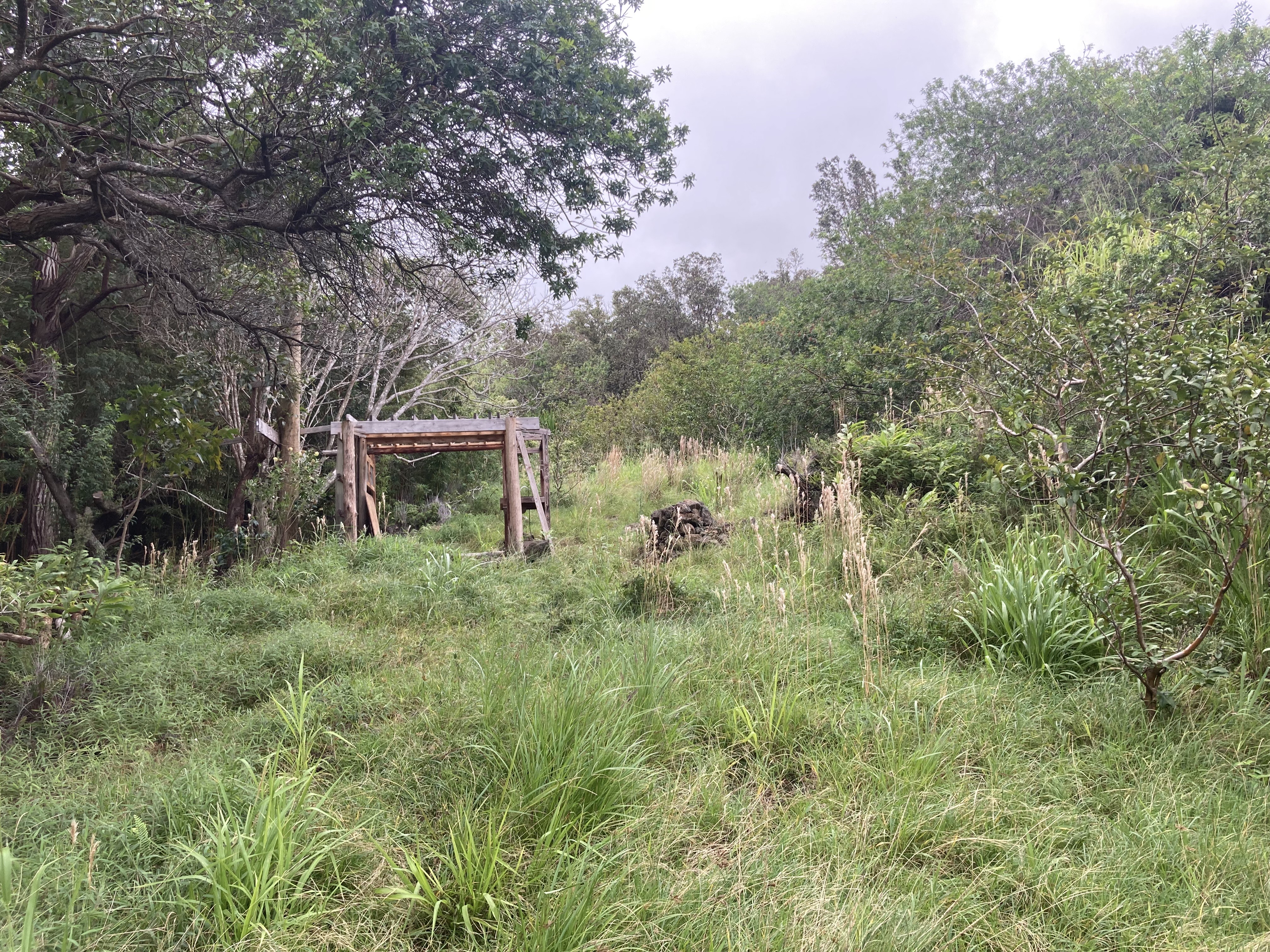 95-3970 Halemauna Road Naalehu, HI 96772 - Photo 2 of 17 a backyard of a house with table and chairs