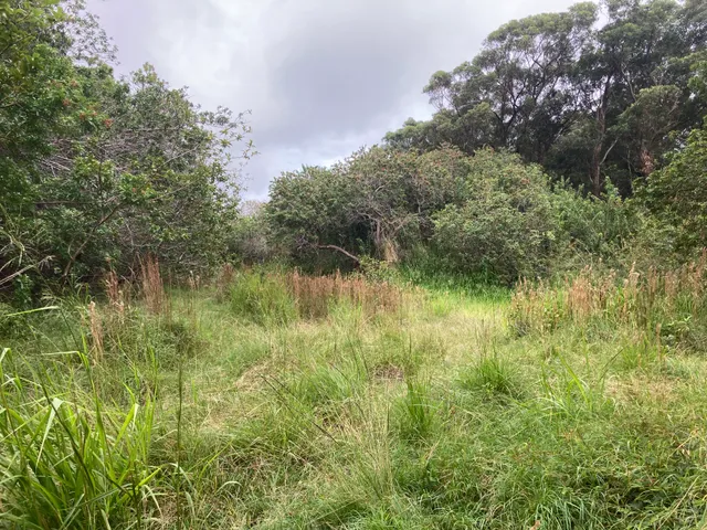 a view of a lake view with houses in back