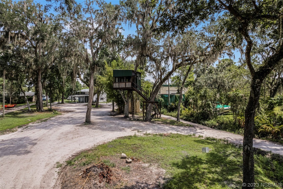 486 Detroit Terrace DeBary, FL 32713 - Photo 29 of 47 a view of a tree in front of a house
