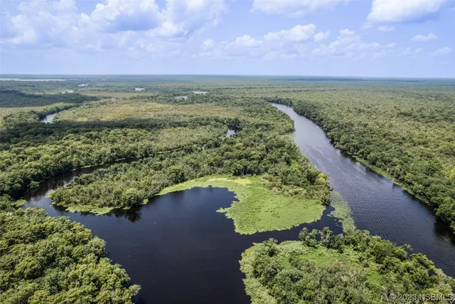 a view of a park with large trees