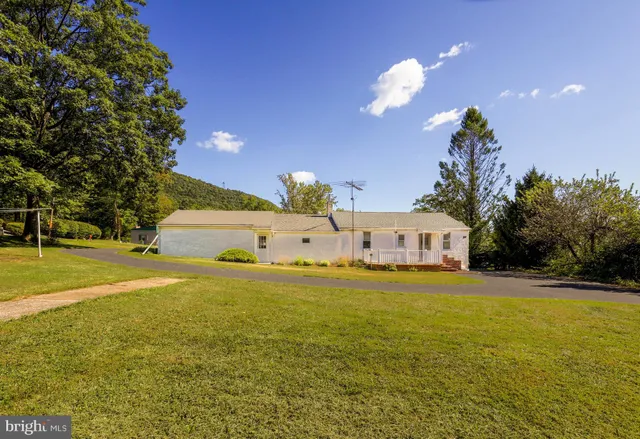a view of a house with a yard and a large tree