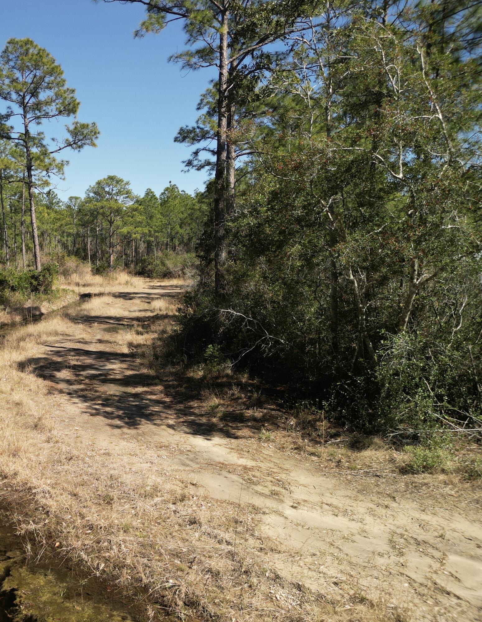 0 Robinson Point Road Milton, FL 32583 - Photo 4 of 7 dji_fly_20250225_142044_53_1740524615578