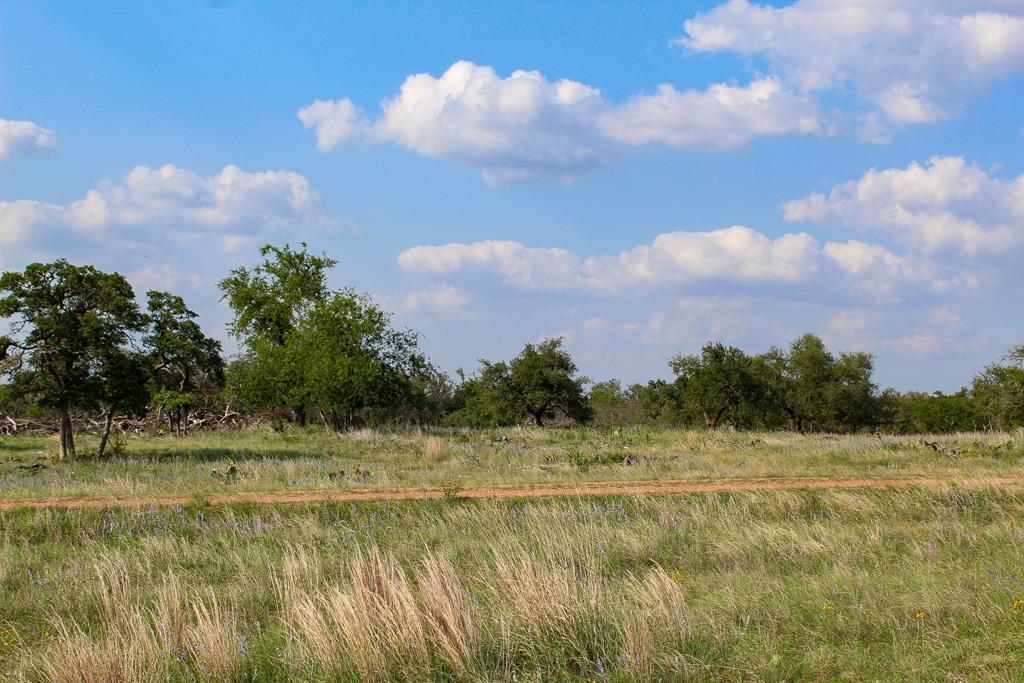 174 Apache Trace Northwest Harper, TX 78631 - Photo 1 of 2