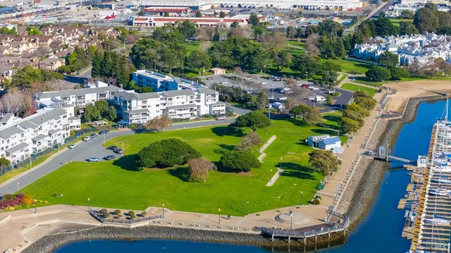 a view of a swimming pool with a garden and plants