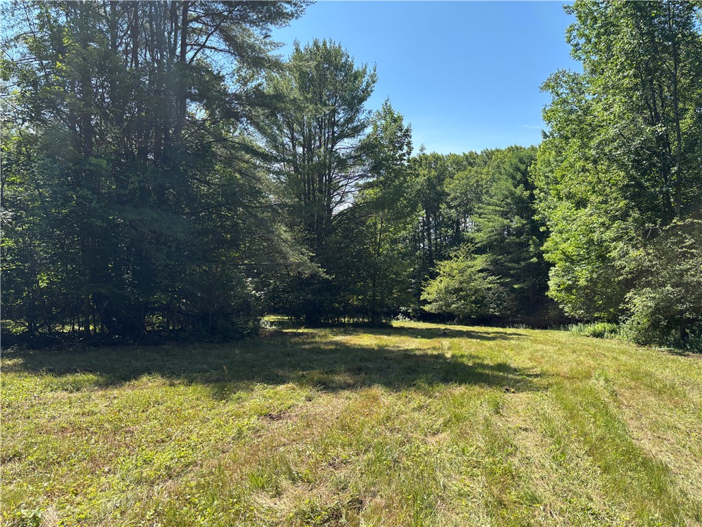 0 Cronin Road Schenevus, NY 12155 - Photo 11 of 22 Gallery Image 11