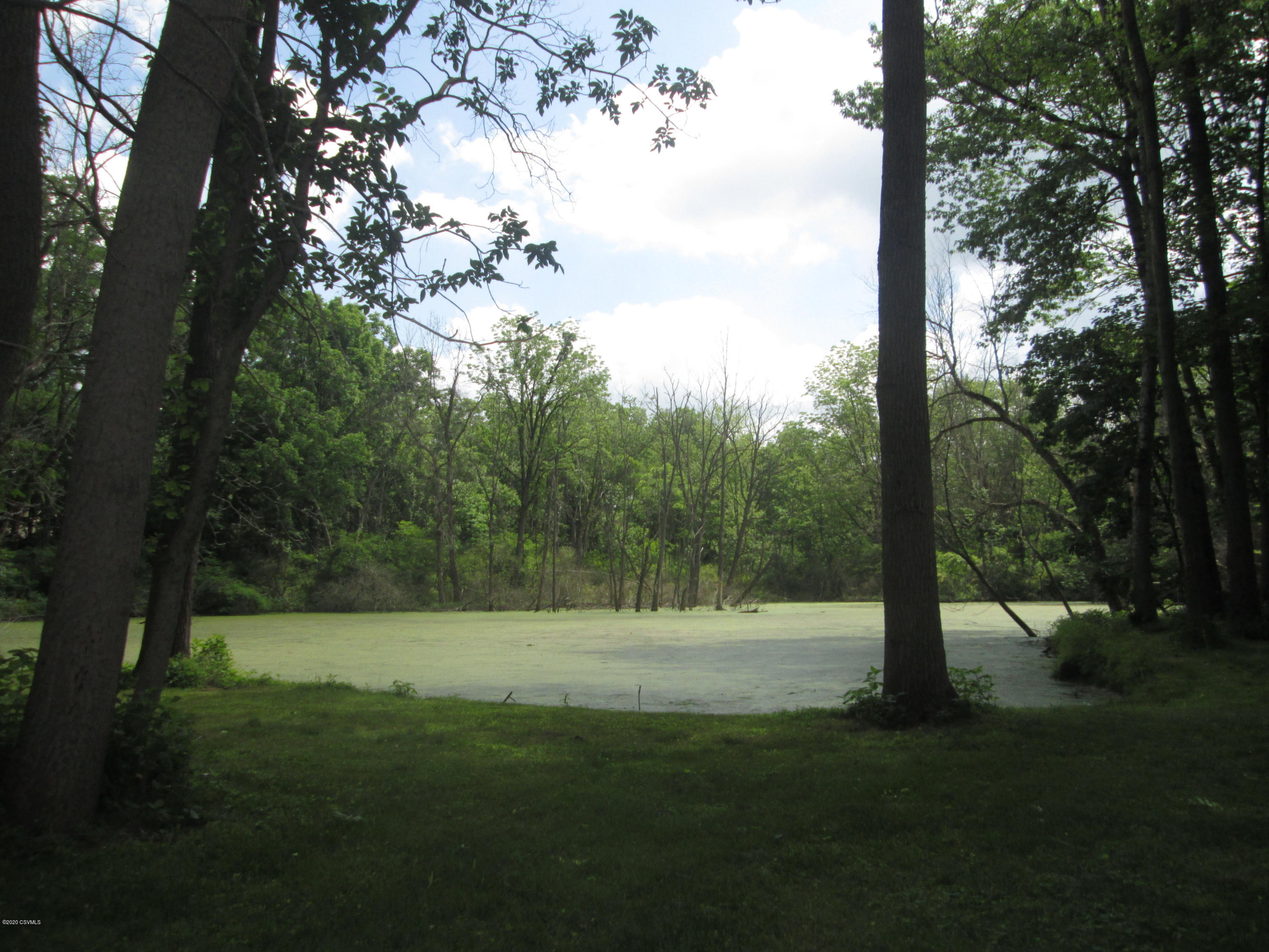 East Towpath Lane Berwick, PA 18603 - Photo 10 of 28