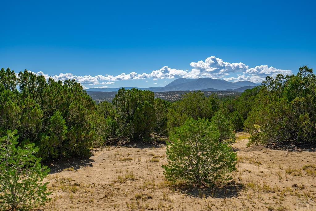 25-52 Twin Lakes Road Walsenburg, CO 81089 - Photo 1 of 19