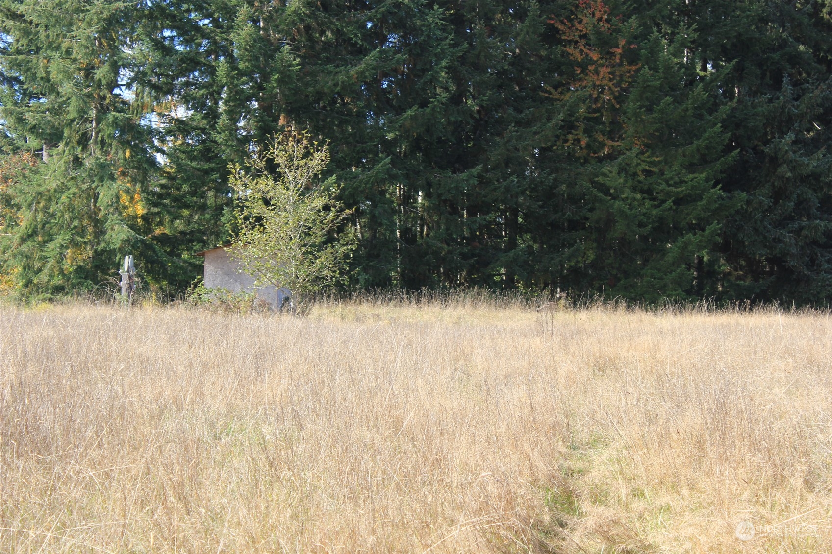 117 Urquhart Road Chehalis, WA 98532 - Photo 28 of 30