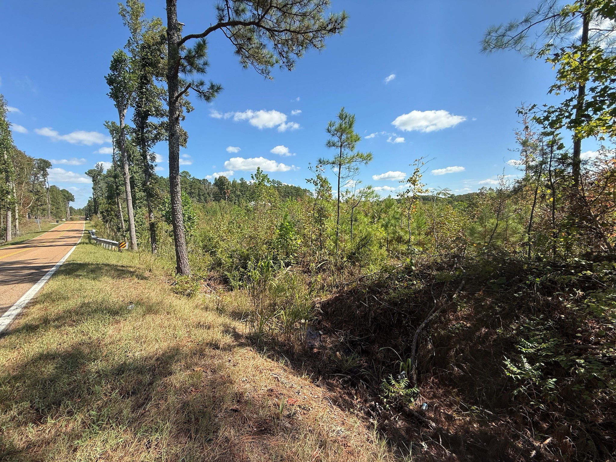 3 Leapwood Enville Road Adamsville, TN 38310 - Photo 8 of 8 a view of a yard with a tree