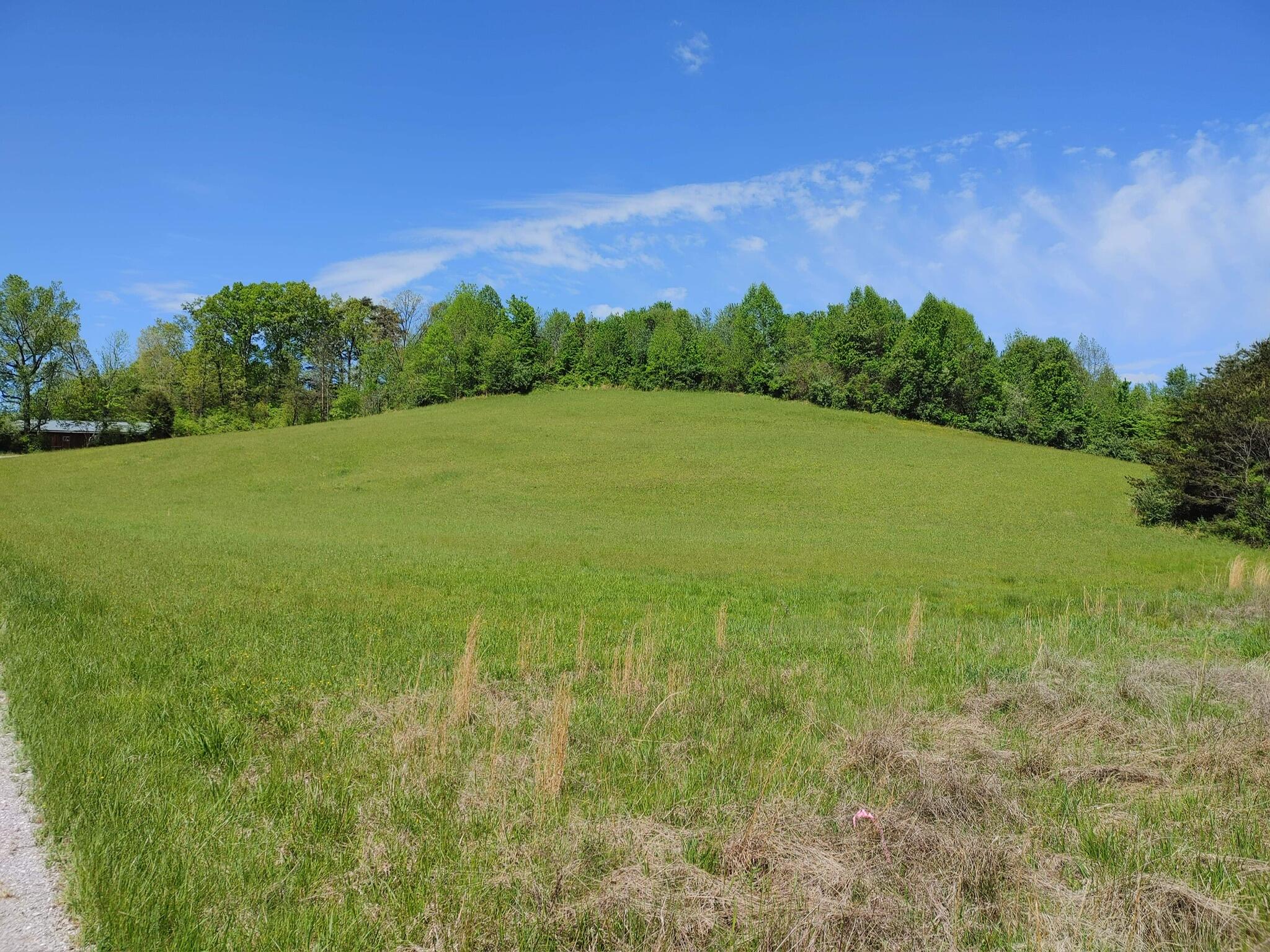0 Lloyd Hollow Road, Unit TRACT #7 Corbin, KY 40701 - Photo 5 of 7 3FD15C04-C5C2-4AB7-A0C4-F7478F13D81B
