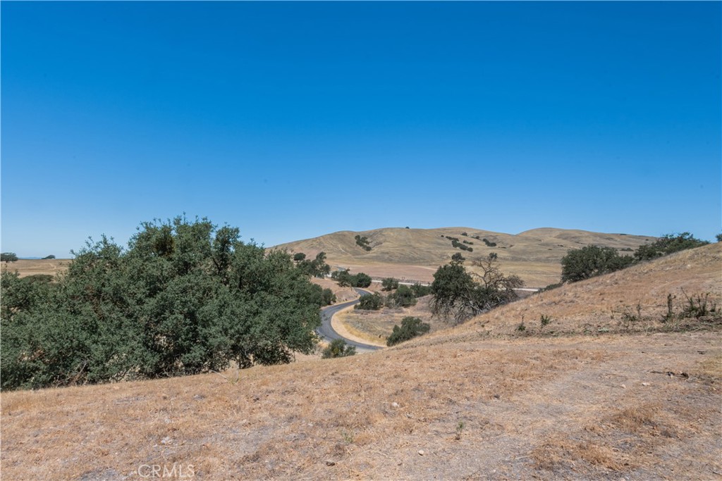 0 Cross Canyons Road San Miguel, CA 93451 - Photo 22 of 39 a view of a dry yard with trees in the background