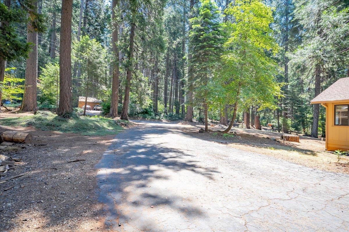 2226 Blair Road Pollock Pines, CA 95726 - Photo 4 of 58