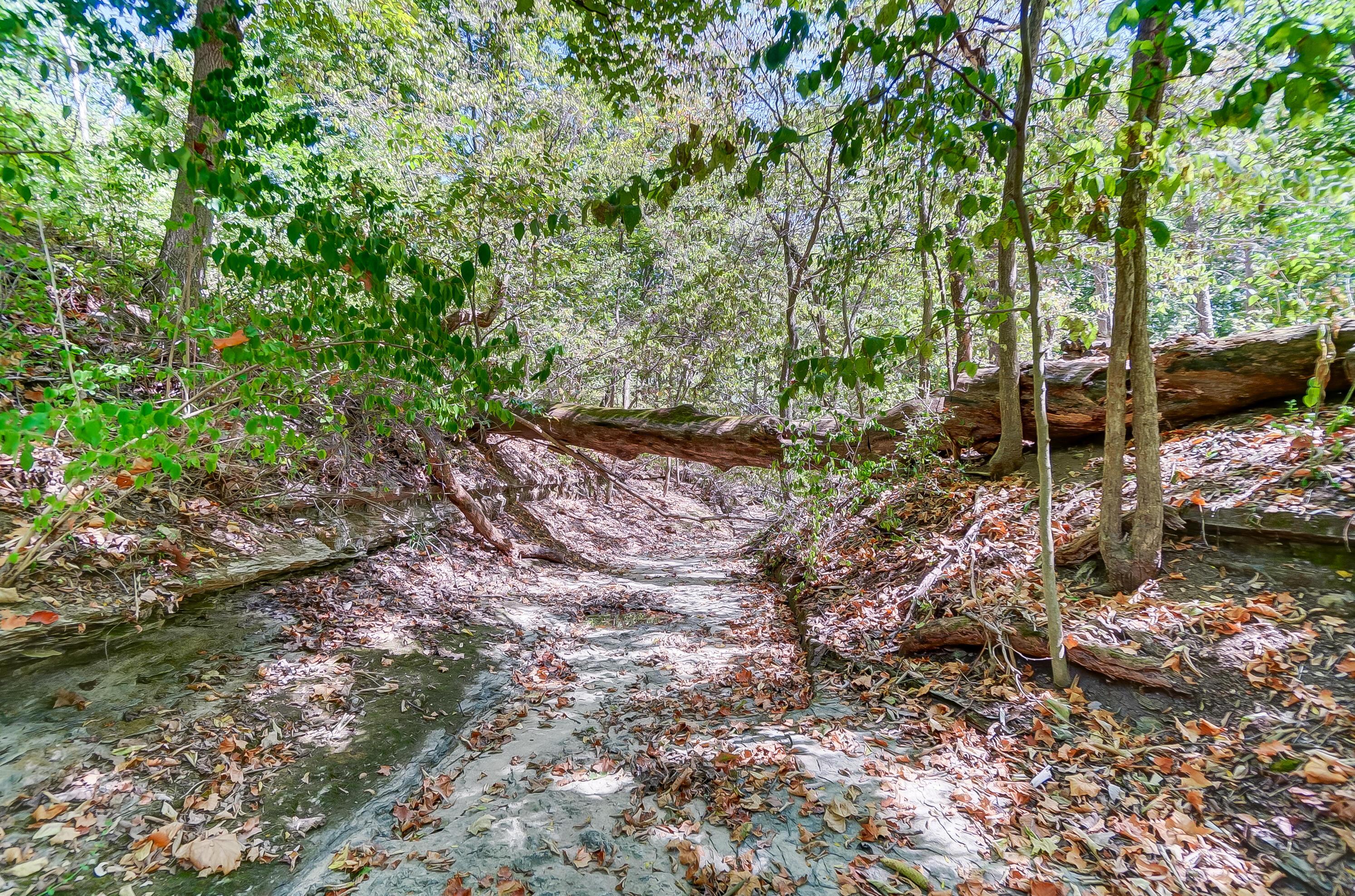1560 Carriage Road Powell, OH 43065 - Photo 62 of 64 Creek Alt View