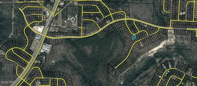 $11,600 | Lot 15 Trellis Drive, Chipley, FL 32428