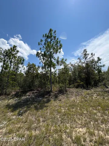 $11,600 | Lot 15 Trellis Drive, Chipley, FL 32428