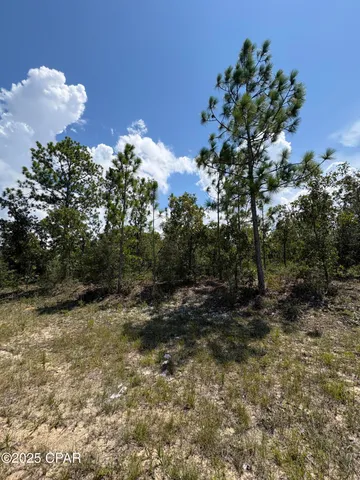 $11,600 | Lot 15 Trellis Drive, Chipley, FL 32428