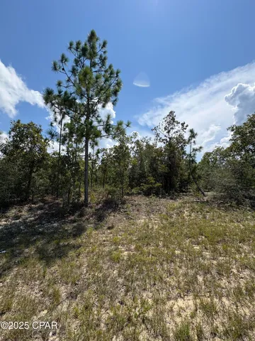 $11,600 | Lot 15 Trellis Drive, Chipley, FL 32428