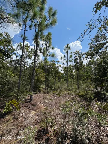 $11,600 | Lot 15 Trellis Drive, Chipley, FL 32428