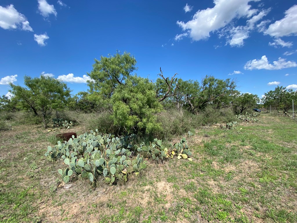 1 Jack Rabbit Road Doss, TX 78618 - Photo 11 of 14