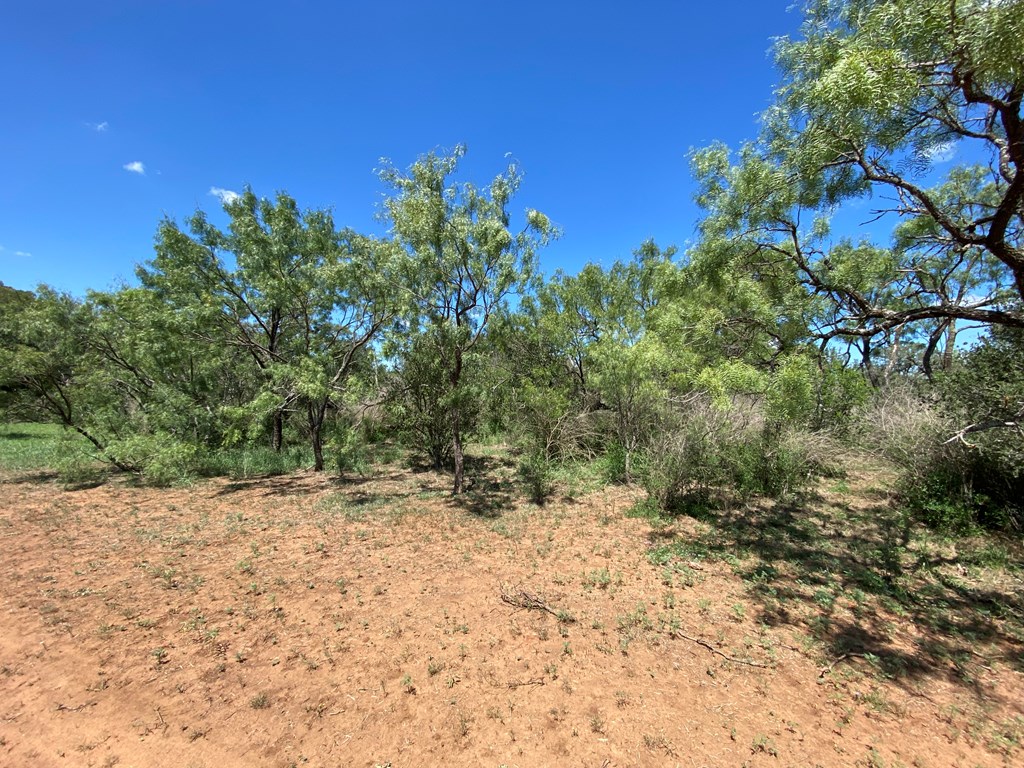 1 Jack Rabbit Road Doss, TX 78618 - Photo 13 of 14