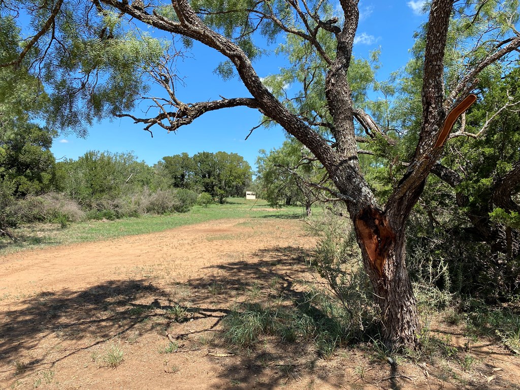 1 Jack Rabbit Road Doss, TX 78618 - Photo 14 of 14