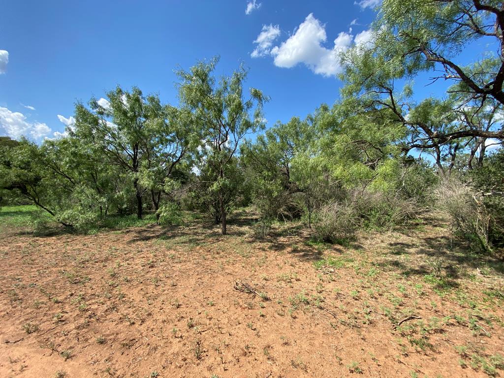 1 Jack Rabbit Road Doss, TX 78618 - Photo 2 of 14