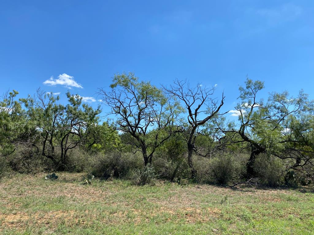 1 Jack Rabbit Road Doss, TX 78618 - Photo 3 of 14