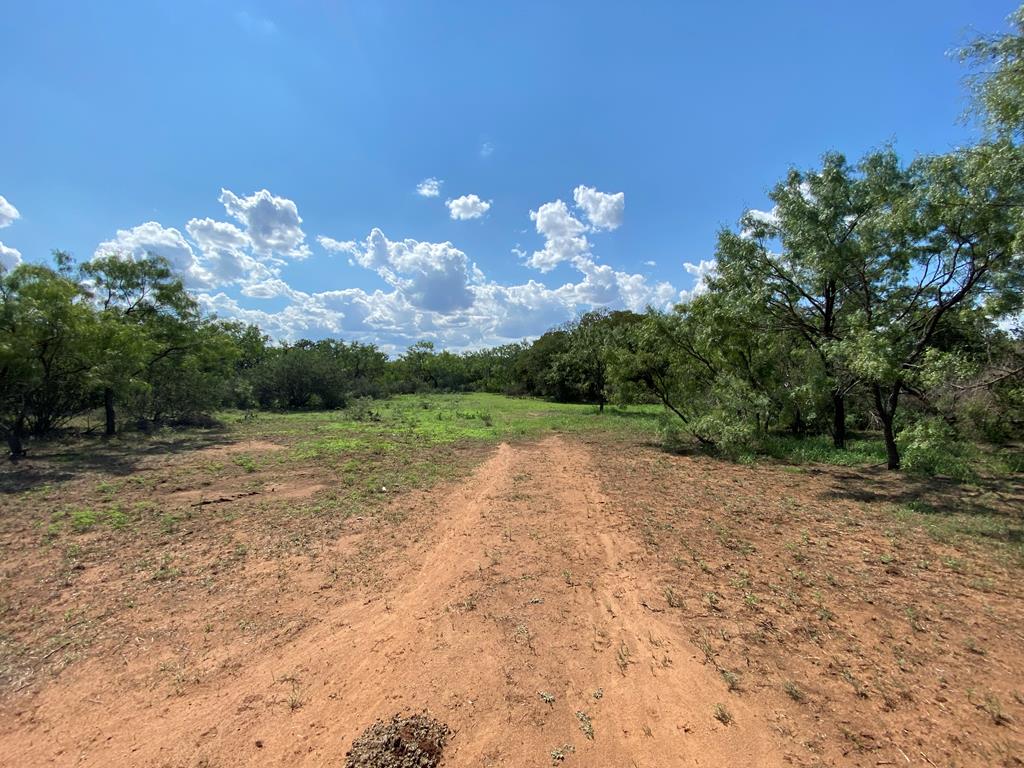 1 Jack Rabbit Road Doss, TX 78618 - Photo 5 of 14