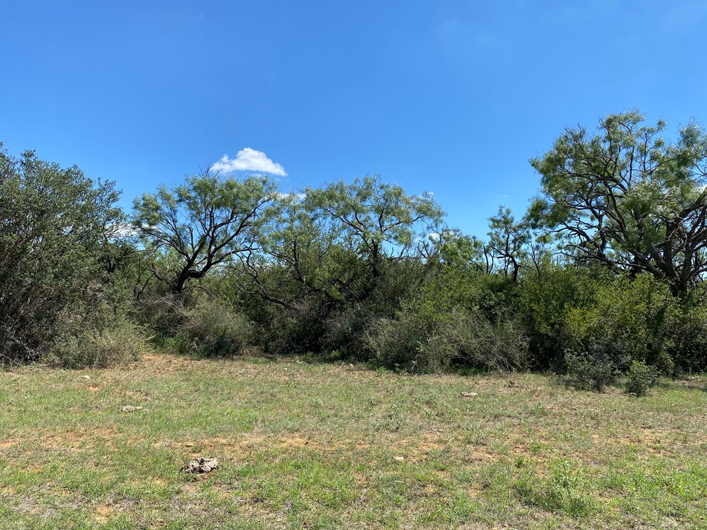 1 Jack Rabbit Road Doss, TX 78618 - Photo 7 of 14