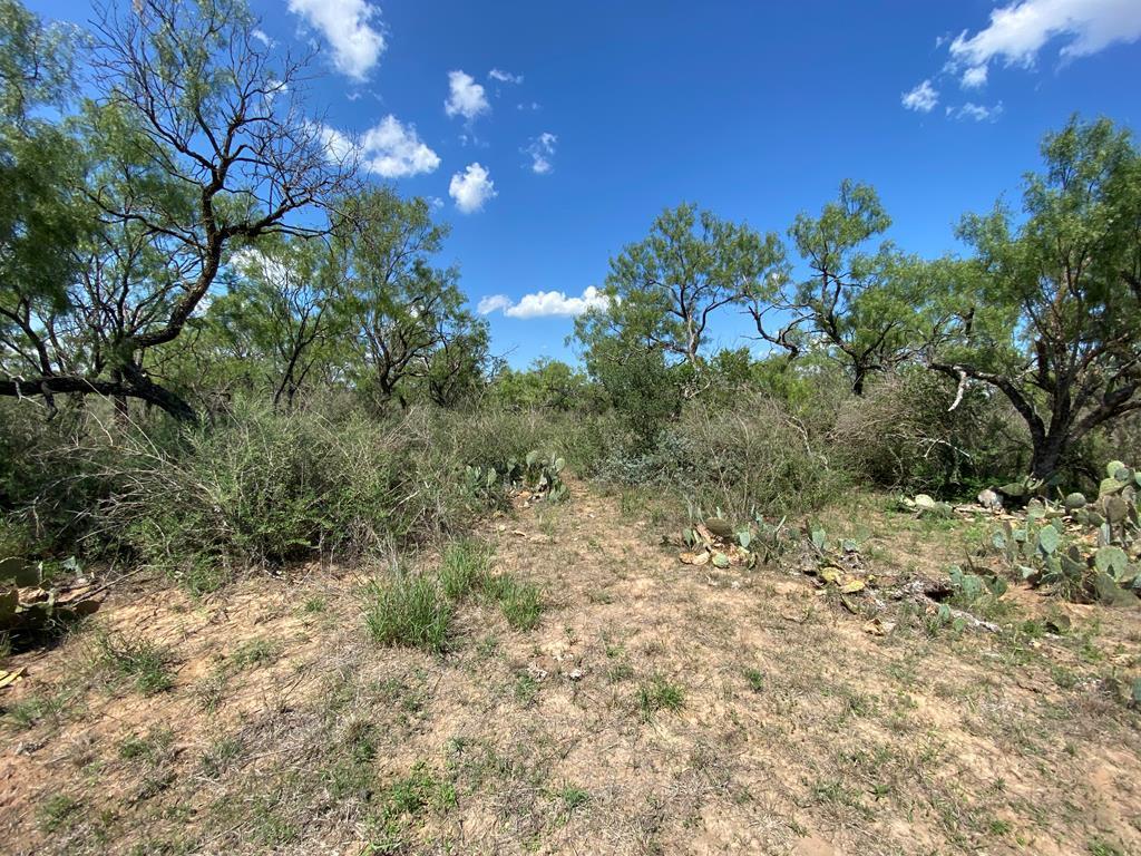 1 Jack Rabbit Road Doss, TX 78618 - Photo 8 of 14