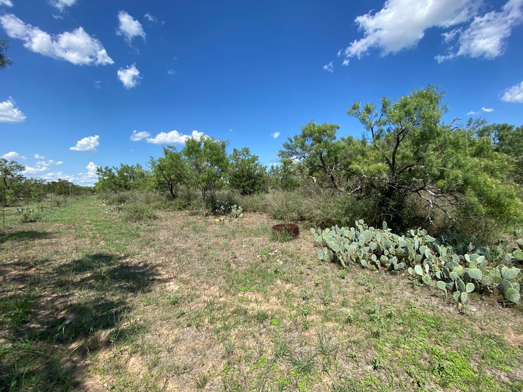 1 Jack Rabbit Road Doss, TX 78618 - Photo 9 of 14