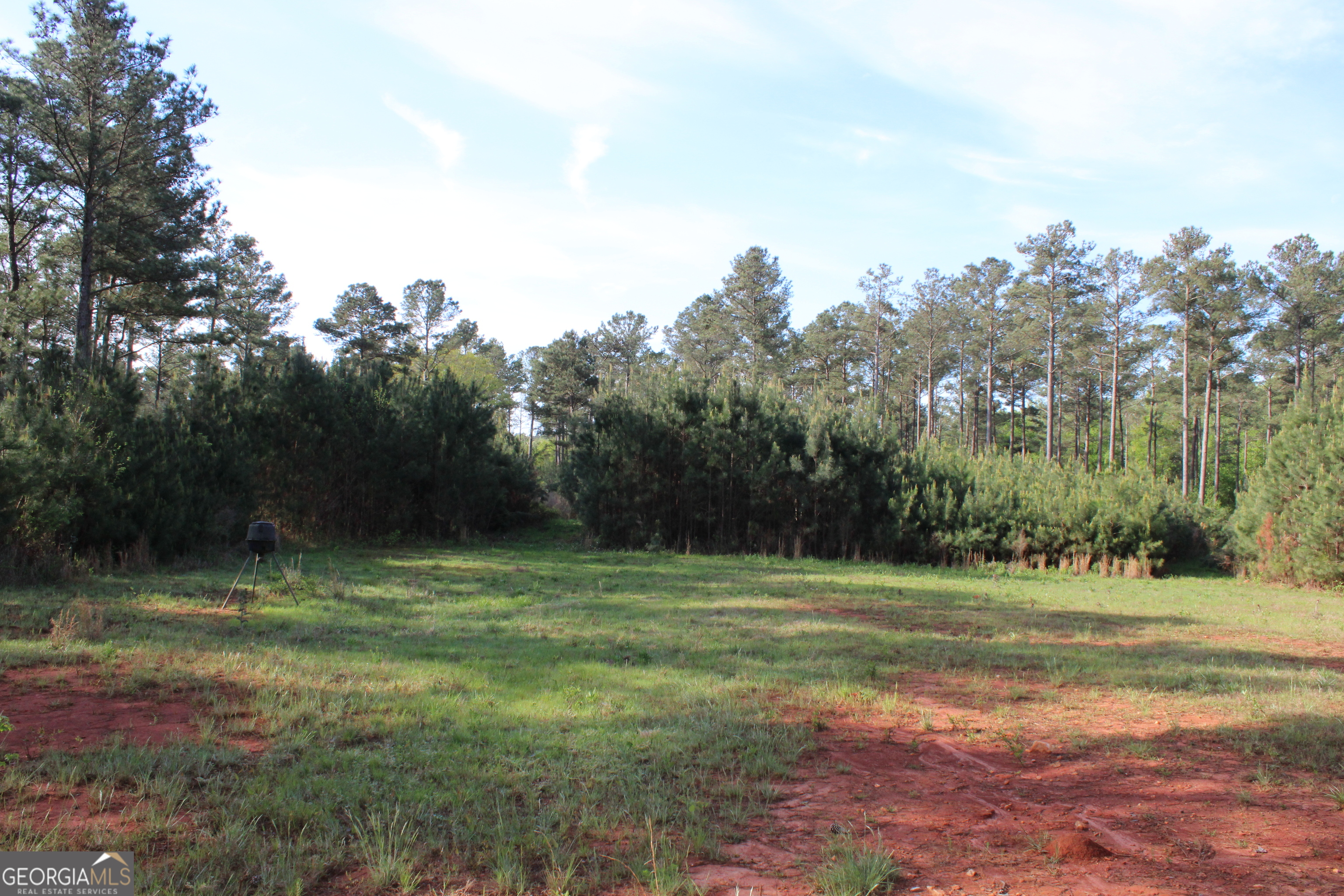 0 Ruffner Road The Rock, GA 30285 - Photo 24 of 51