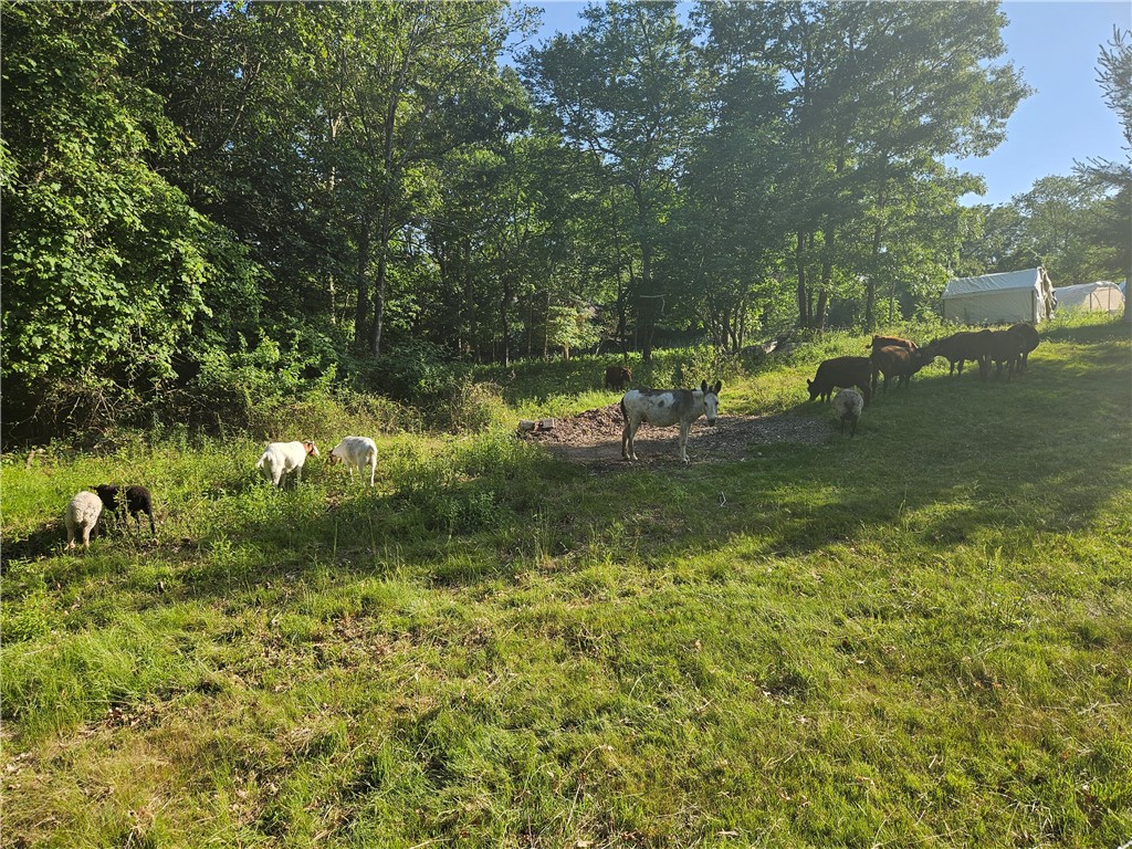 241 Cornell Road Tiverton, RI 02878 - Photo 45 of 47