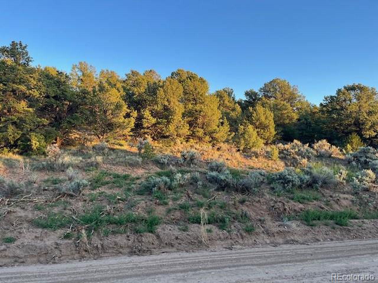 1575 Balleroy Road San Luis, CO 81152 - Photo 12 of 14 Gallery Image 12