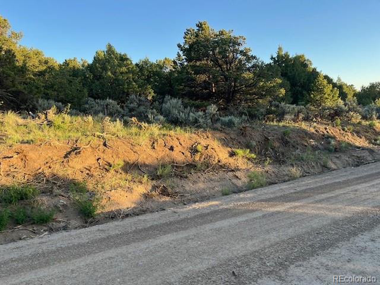 1575 Balleroy Road San Luis, CO 81152 - Photo 3 of 14 A mix of open areas and mature trees.